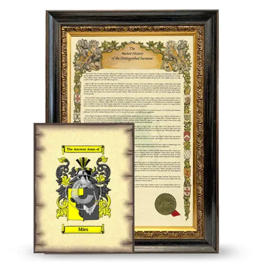 Mies Framed History and Coat of Arms Print - Heirloom