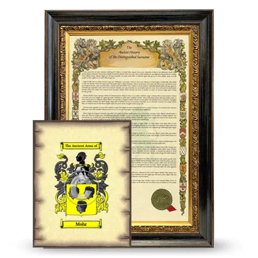 Mohr Framed History and Coat of Arms Print - Heirloom