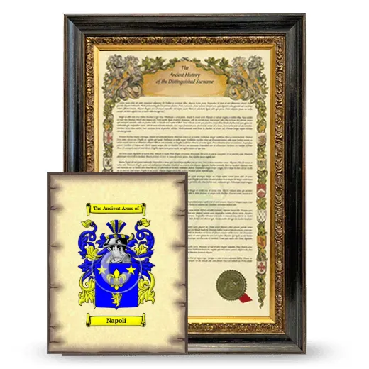 Napoli Framed History and Coat of Arms Print - Heirloom