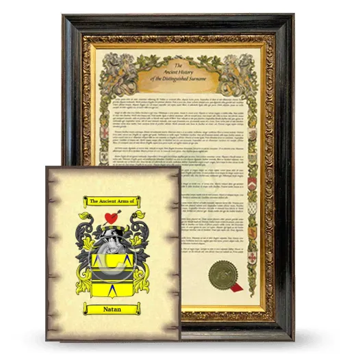 Natan Framed History and Coat of Arms Print - Heirloom