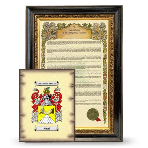 Nead Framed History and Coat of Arms Print - Heirloom