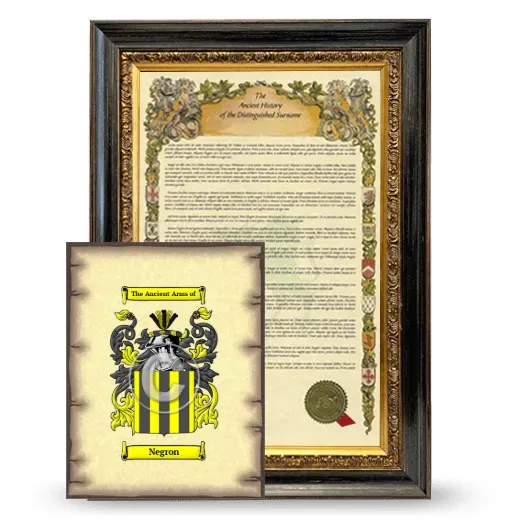 Negron Framed History and Coat of Arms Print - Heirloom