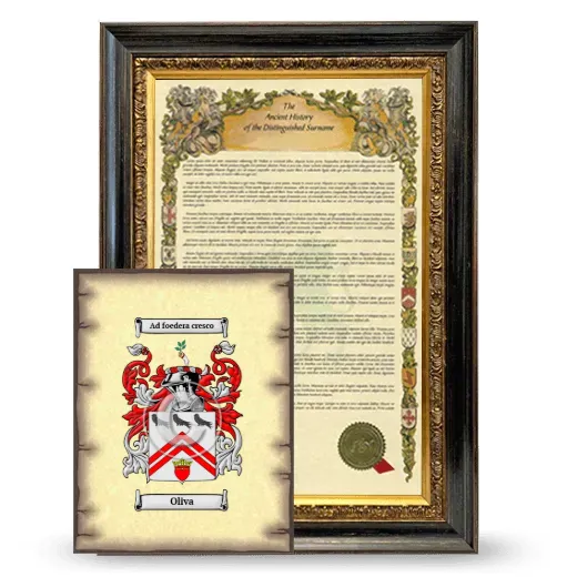 Oliva Framed History and Coat of Arms Print - Heirloom