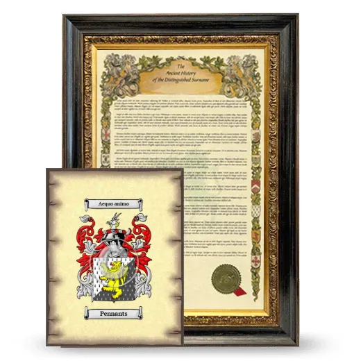 Pennants Framed History and Coat of Arms Print - Heirloom