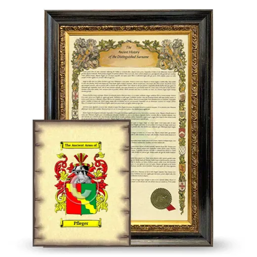 Pfleger Framed History and Coat of Arms Print - Heirloom