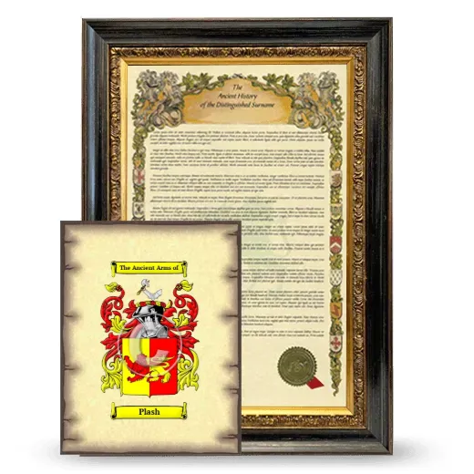 Plash Framed History and Coat of Arms Print - Heirloom