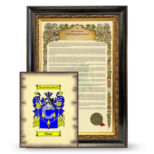 Plume Framed History and Coat of Arms Print - Heirloom