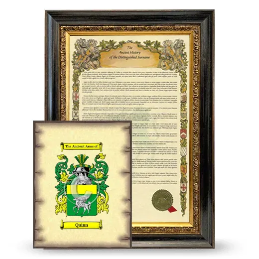 Quinn Framed History and Coat of Arms Print - Heirloom