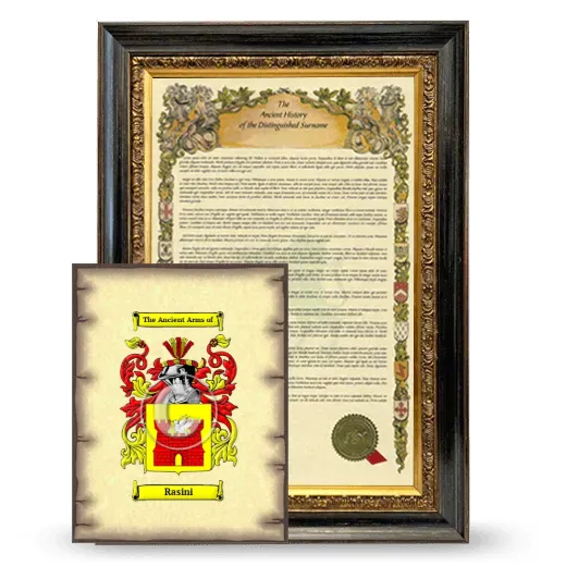 Rasini Framed History and Coat of Arms Print - Heirloom