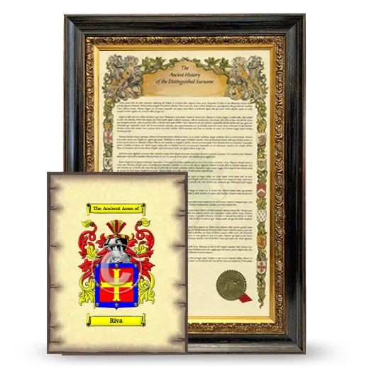 Riva Framed History and Coat of Arms Print - Heirloom