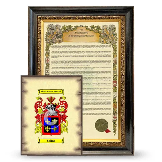 Salina Framed History and Coat of Arms Print - Heirloom