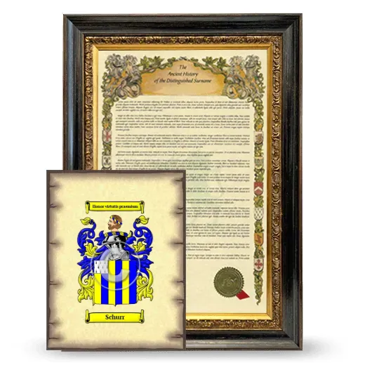 Schurr Framed History and Coat of Arms Print - Heirloom