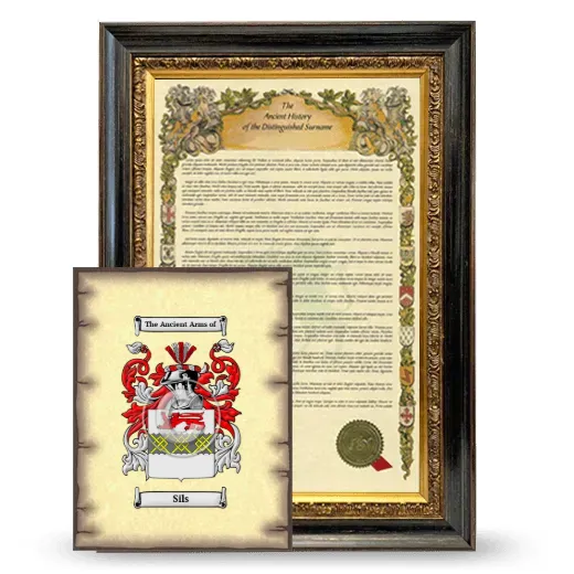 Sils Framed History and Coat of Arms Print - Heirloom