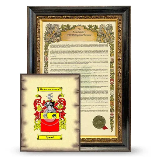 Spead Framed History and Coat of Arms Print - Heirloom