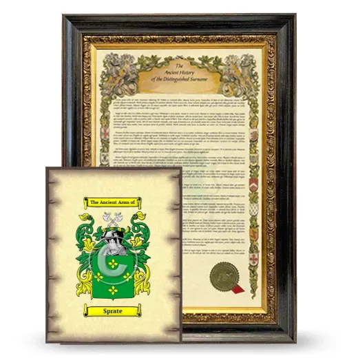 Sprate Framed History and Coat of Arms Print - Heirloom