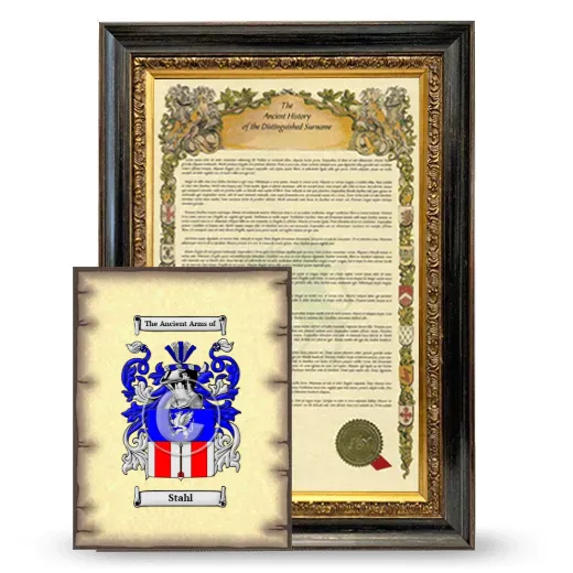 Stahl Framed History and Coat of Arms Print - Heirloom