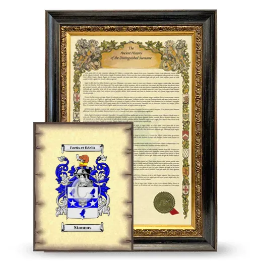 Stannus Framed History and Coat of Arms Print - Heirloom