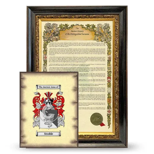 Stroble Framed History and Coat of Arms Print - Heirloom