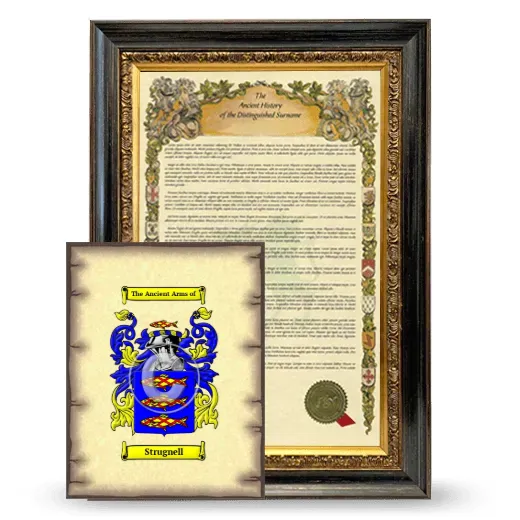 Strugnell Framed History and Coat of Arms Print - Heirloom