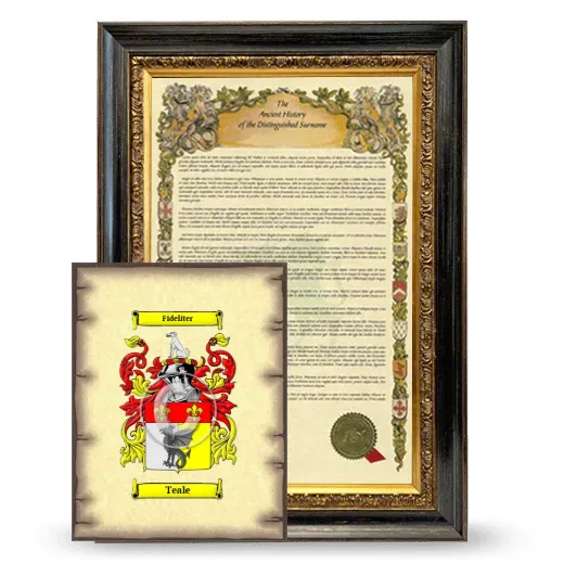 Teale Framed History and Coat of Arms Print - Heirloom