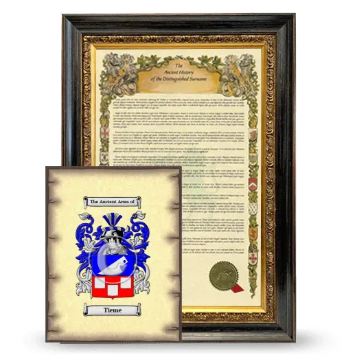 Tieme Framed History and Coat of Arms Print - Heirloom