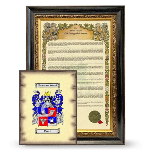 Tkach Framed History and Coat of Arms Print - Heirloom