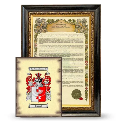 Tunnel Framed History and Coat of Arms Print - Heirloom