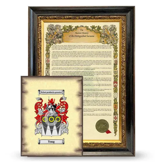 Yong Framed History and Coat of Arms Print - Heirloom