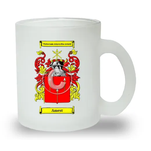 Amest Frosted Glass Mug