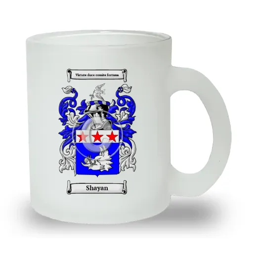 Shayan Frosted Glass Mug