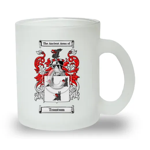 Trantum Frosted Glass Mug