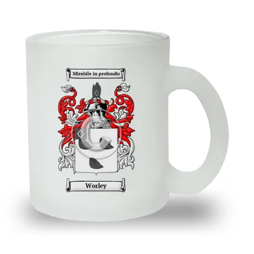 Worley Frosted Glass Mug