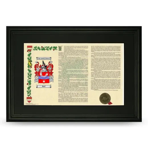 Barf Deluxe Armorial Landscape Framed- Black