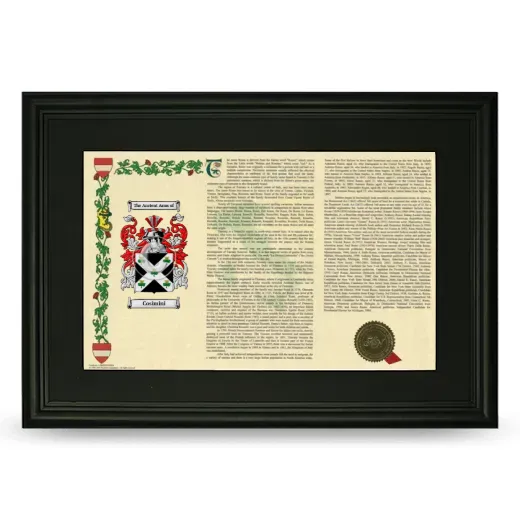 Cosimini Deluxe Armorial Landscape Framed- Black