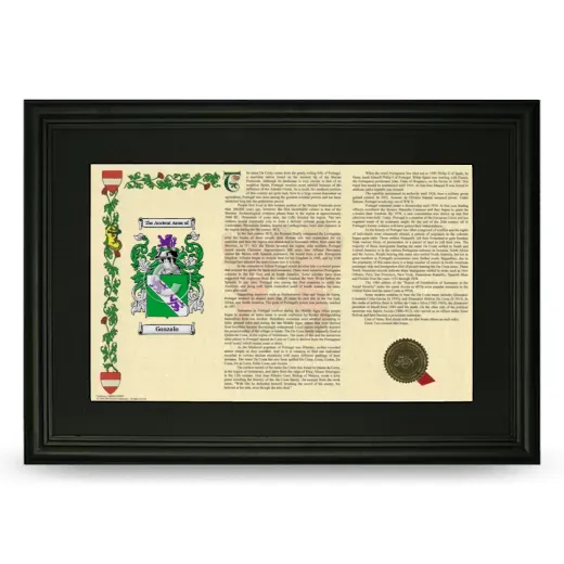 Gonzalo Deluxe Armorial Landscape Framed- Black