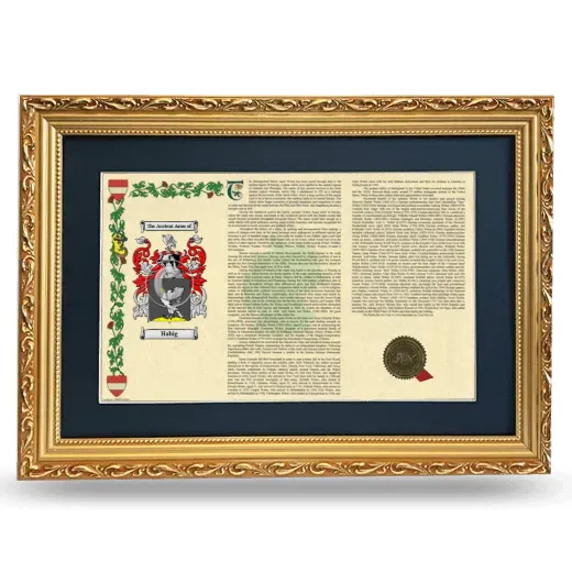 Habig Deluxe Armorial Landscape Framed - Gold