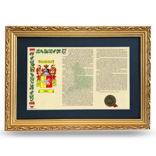 Halas Deluxe Armorial Landscape Framed - Gold