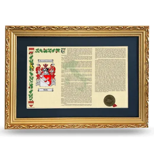 Malia Deluxe Armorial Landscape Framed - Gold
