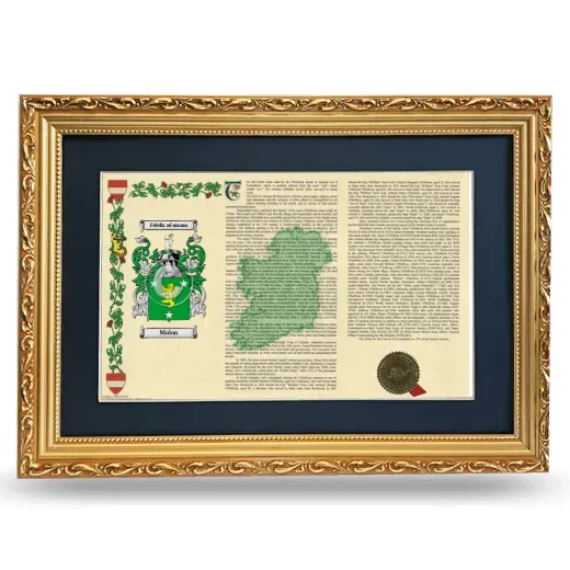 Molon Deluxe Armorial Landscape Framed - Gold