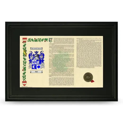 Pfaf Deluxe Armorial Landscape Framed- Black
