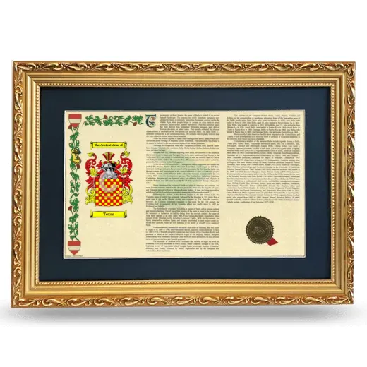Texas Deluxe Armorial Landscape Framed - Gold