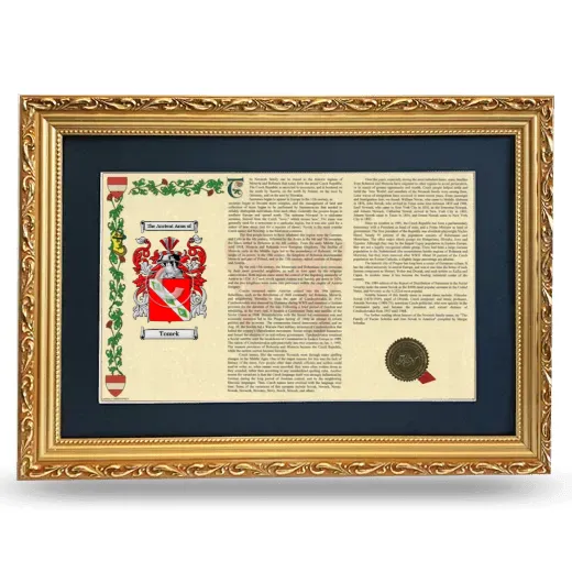 Tomek Deluxe Armorial Landscape Framed - Gold