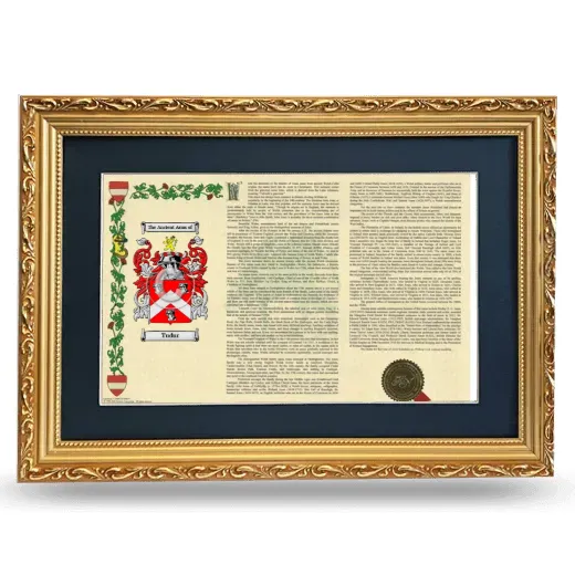 Tudur Deluxe Armorial Landscape Framed - Gold