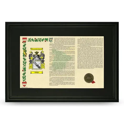 Zúñiga Deluxe Armorial Landscape Framed- Black