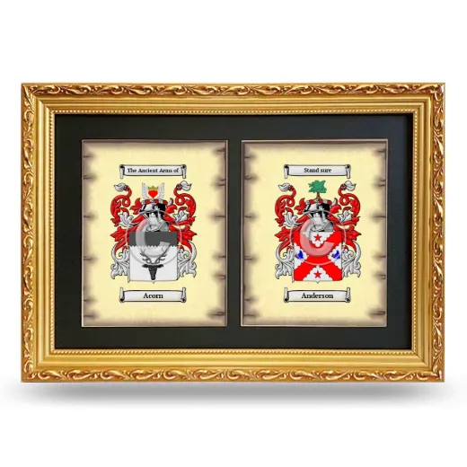 Double Coat of Arms Framed - Gold
