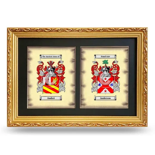 Double Coat of Arms Framed - Gold