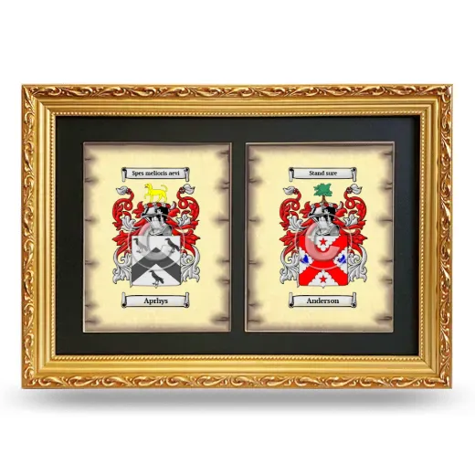 Double Coat of Arms Framed - Gold