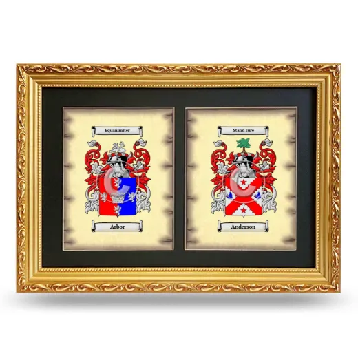 Double Coat of Arms Framed - Gold