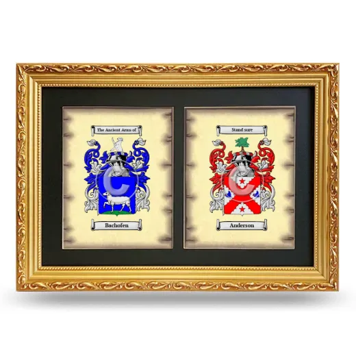 Double Coat of Arms Framed - Gold
