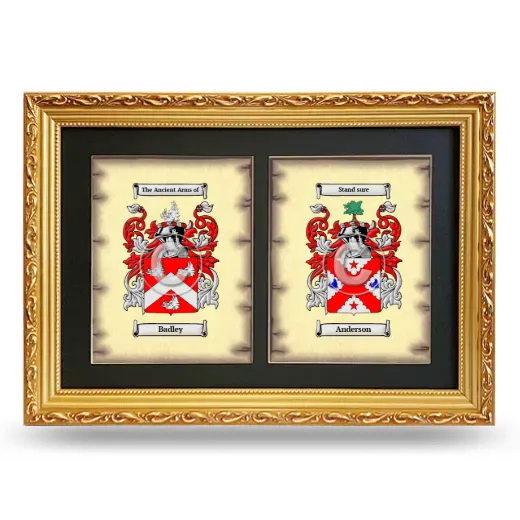 Double Coat of Arms Framed - Gold